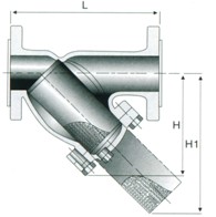 Ductile Iron Y Strainer (GAGL41H)