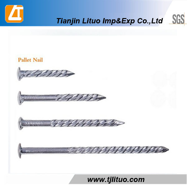 Electro Galvanized Ring Shank Wood Pallet Bulk Nails