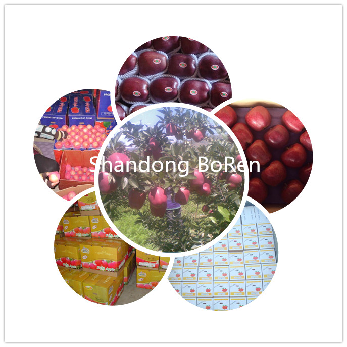 2015 New Fresh Huaniu Apple