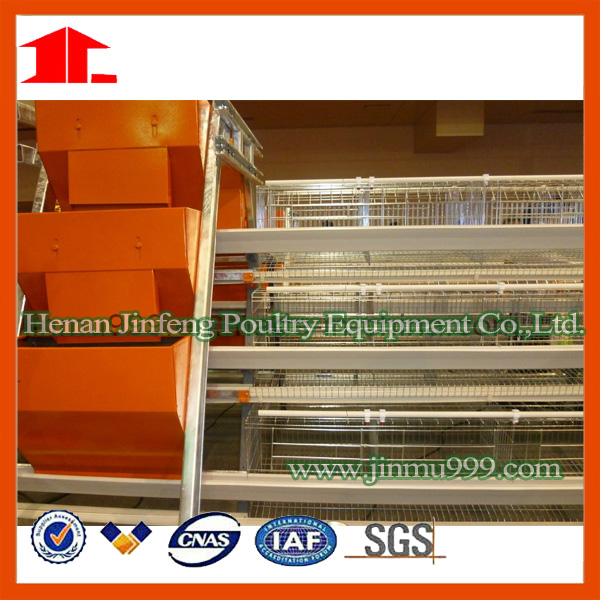 Chicken Layer/Broiler/Pullet Battery Cage