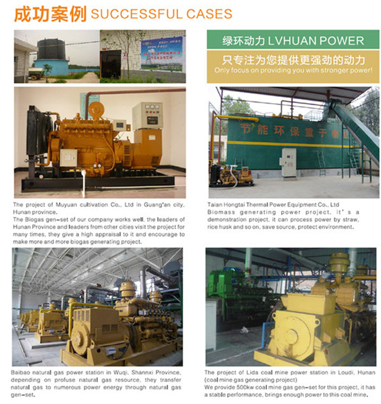 China Coal Gasifier Power Plant Mine Coal Gas Power Generator