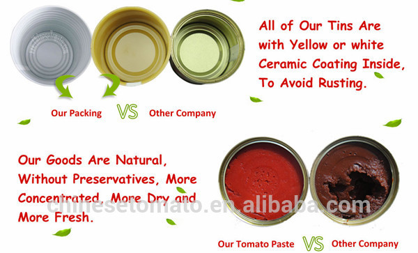 OEM Brand Canned Tomato Paste of All Sizes 70 G to 4.5kg