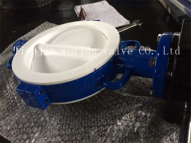 Full PTFE Coating Wafer Type Butterfly Valve with Ce ISO Wras Approved (CBF04-TA01)