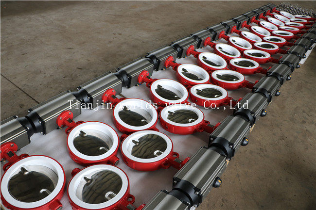 Split Body Wafer Type Butterfly Valve with Polishing Disc (CBF04-TA01)