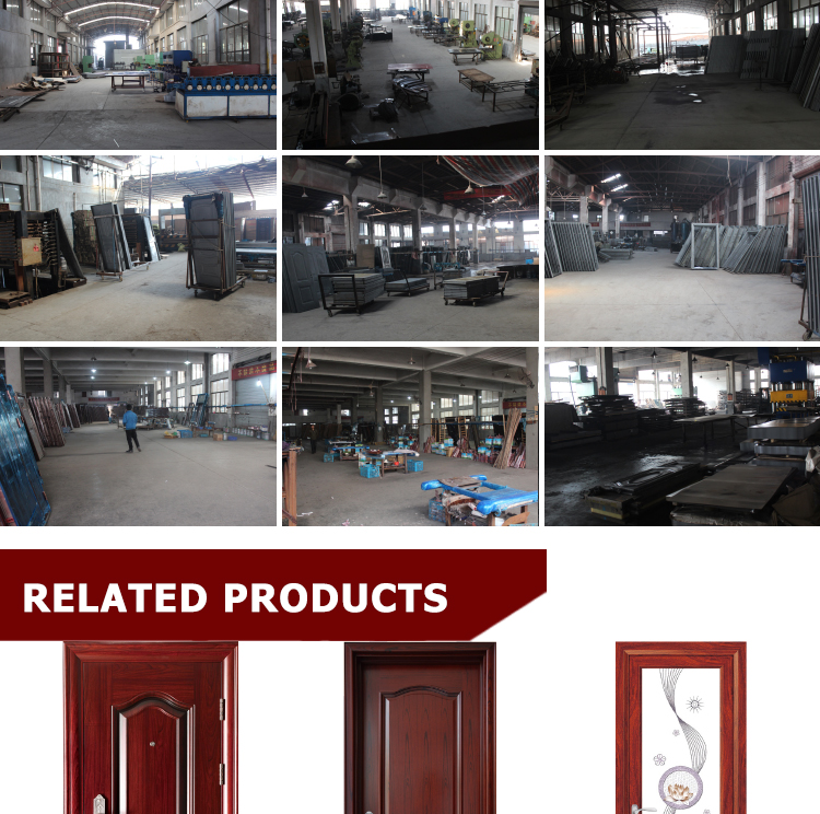 TPS-104 Good Quality Steel Main Entrance Door