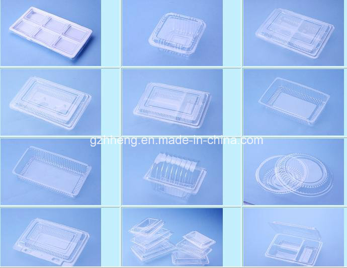 Wholesale Plastic Vegetable/Egg/Fruit/Food Packaging Box (clear box)