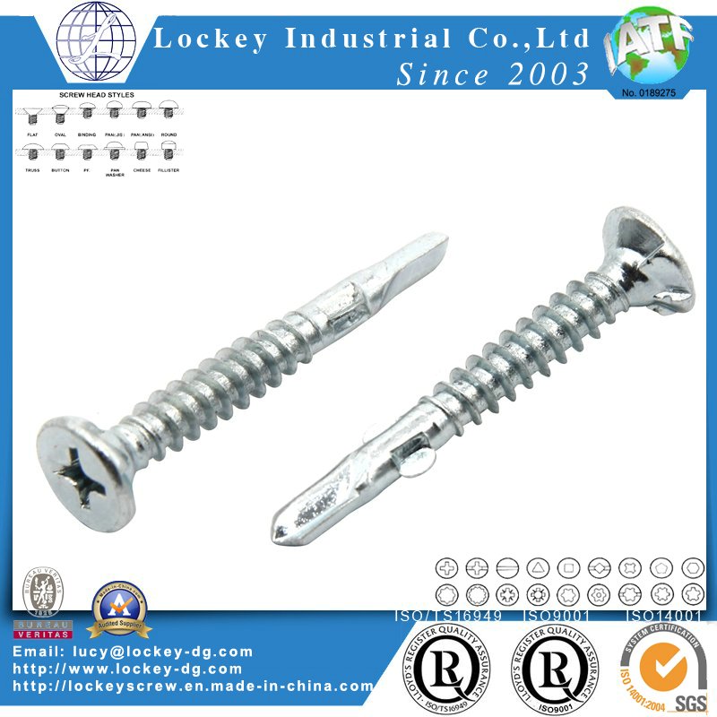 Pan Head Self Drilling Screw/Tek Screw with Phillips Drive