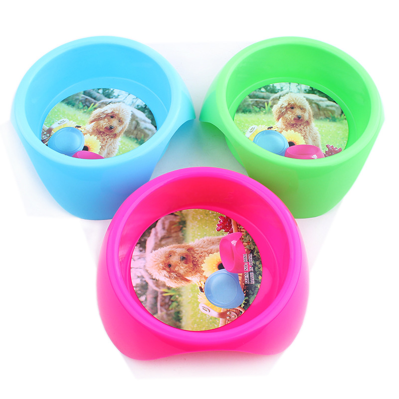 Dog Single Bowl, Dog Product