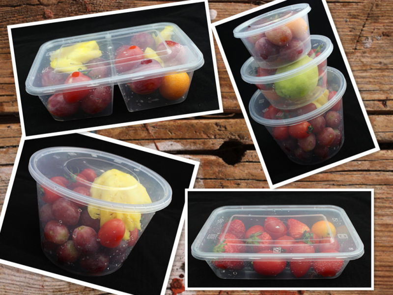 Double-Grid Plastic Microwave Food Container