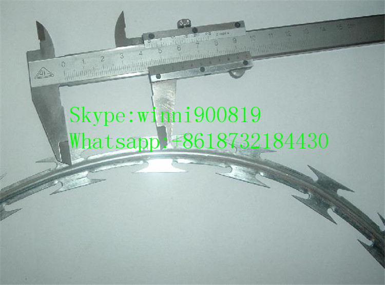 China Supplier High Quality Galvanized Razor Barbed Wire/Concertian Wire Coil/Concertina Razor