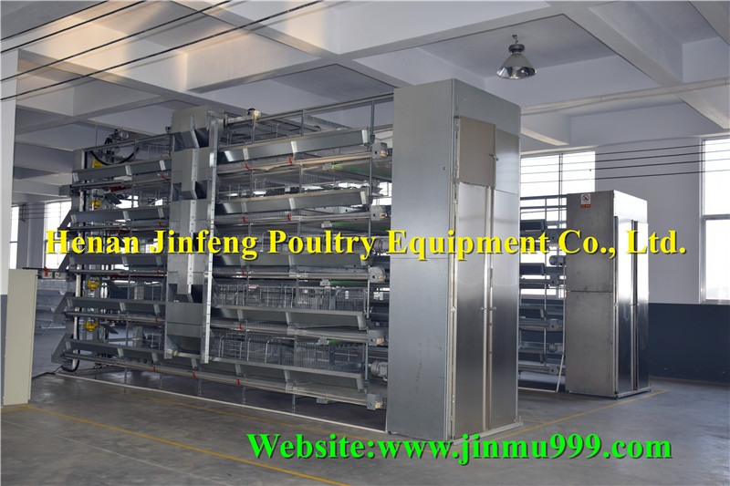 H Type Automatic Layer Chicken Poultry Equipment with Best Price