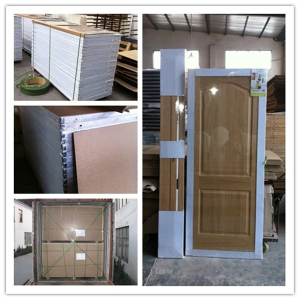 Modern Contemporary Shaker Types of Bathroom Doors, Hotel Bathroom Door