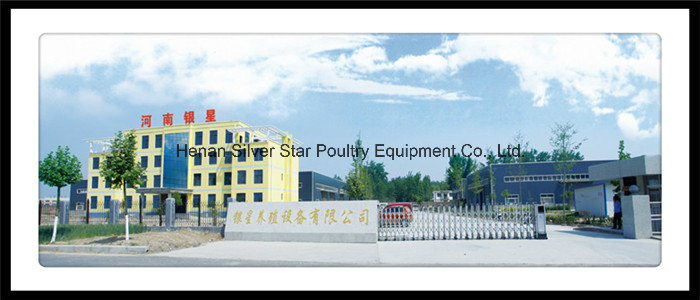 Chicken Farm Equipment H Type Broiler Poultry Cage