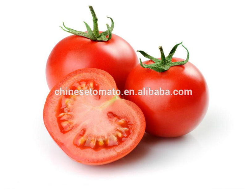 Hot Selling 70 G Sachet Tomato Puree for Wholesaler