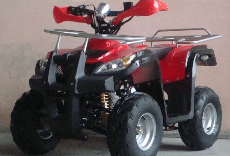 4 Stroke Kids Automatic 50cc -110cc ATV Quads (ET-ATV005)