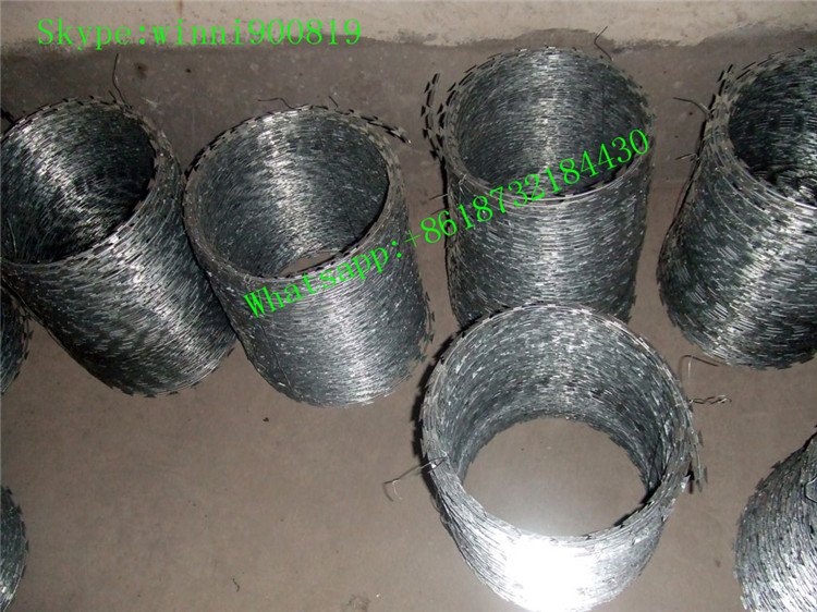 Good Quality Razor Barbed Wire with Lower Price