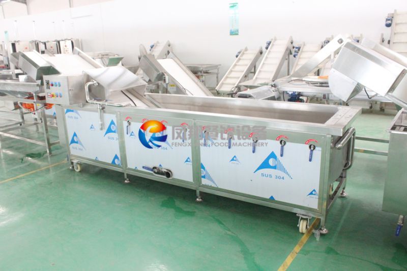 Manufacturer Vegetable and Fruits Washing Machine