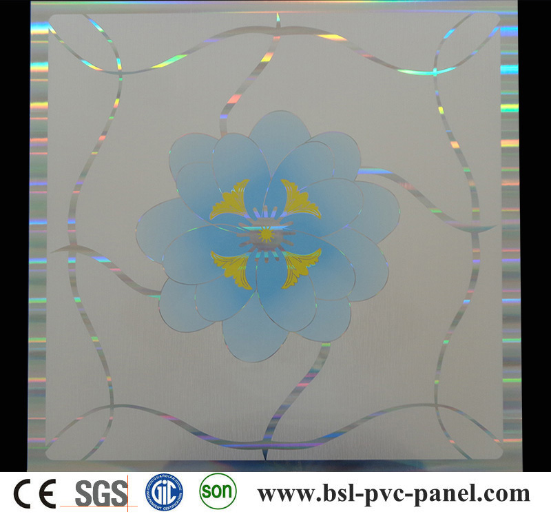 600X600mm PVC Ceiling Panel (BSL-608)