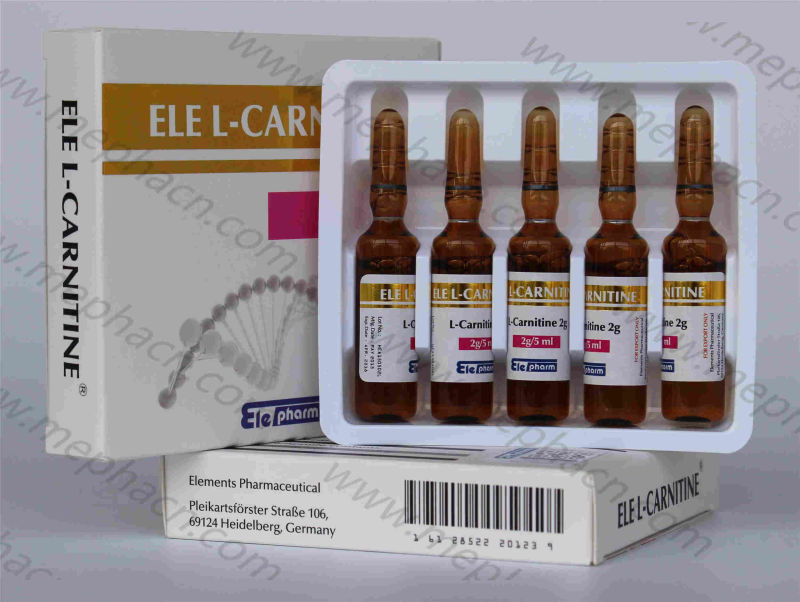 L-Carnitine Injection for Weight Losing, Body Slimming