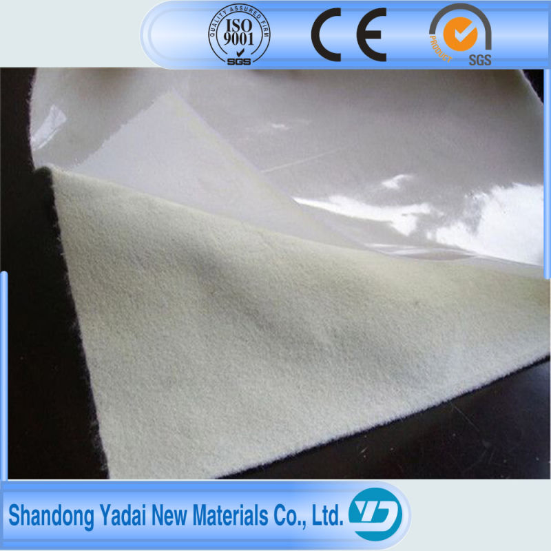 Ce Approved Compound Geomembrane Fabric for Sale Membrane