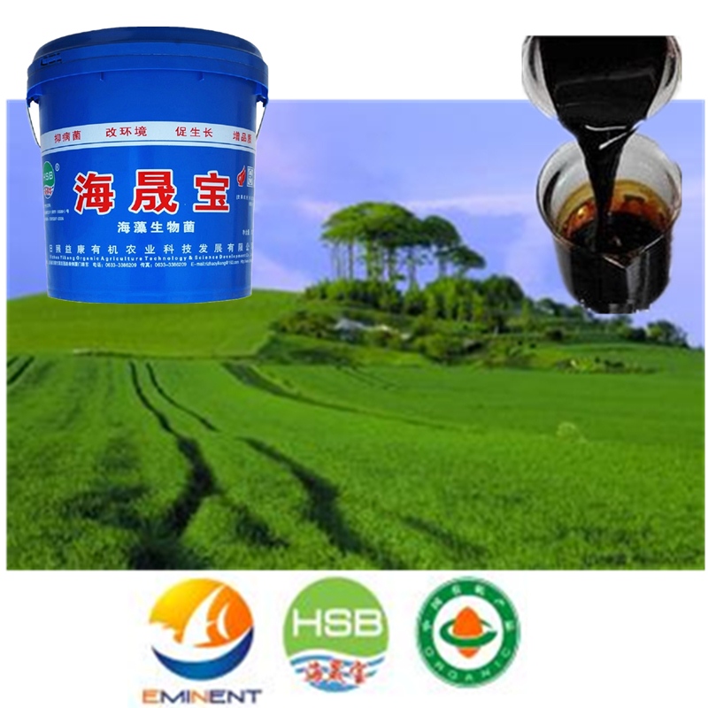 Organic Liquid Fertilizer/ Green Seaweed Extract Fertilizer for agriculture