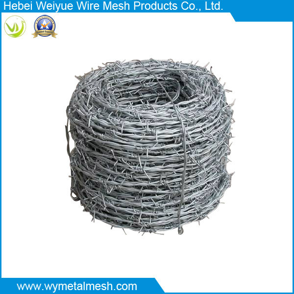 Electro Galvanized Barbed Wire Mesh