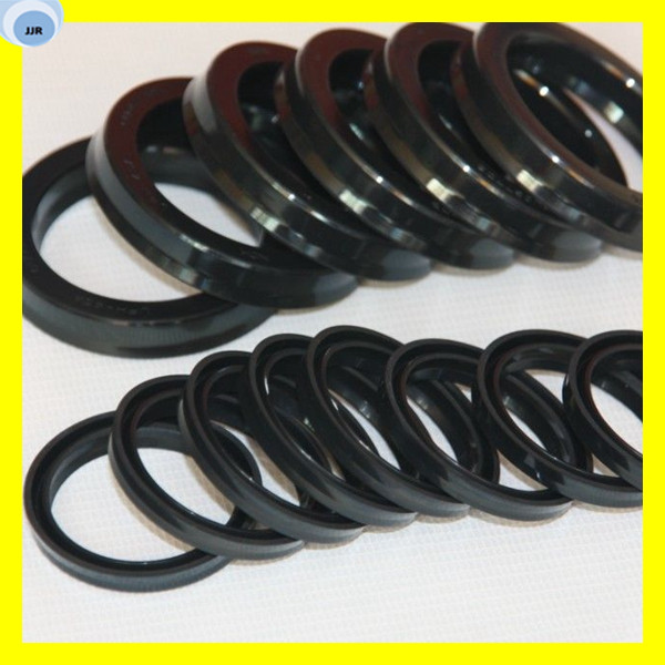 Tc Oil Seal Rubber Seal Lip Seal