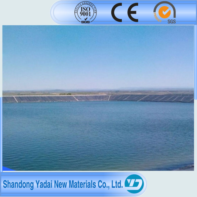 Agriculture Plastic Material Transparent Geosynthetics HDPE Geomembrane