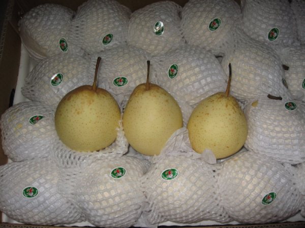 Fresh Ya Pear Wholesale Price