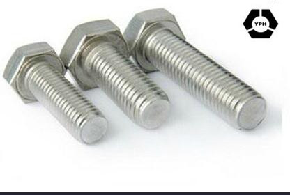 Stainless Steel HDG Hex Bolts ISO4017 with Nuts