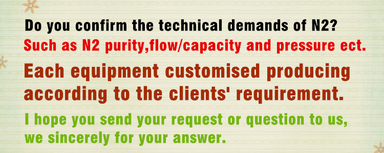 Psa Nitrogen Generator (ISO9001, CE)