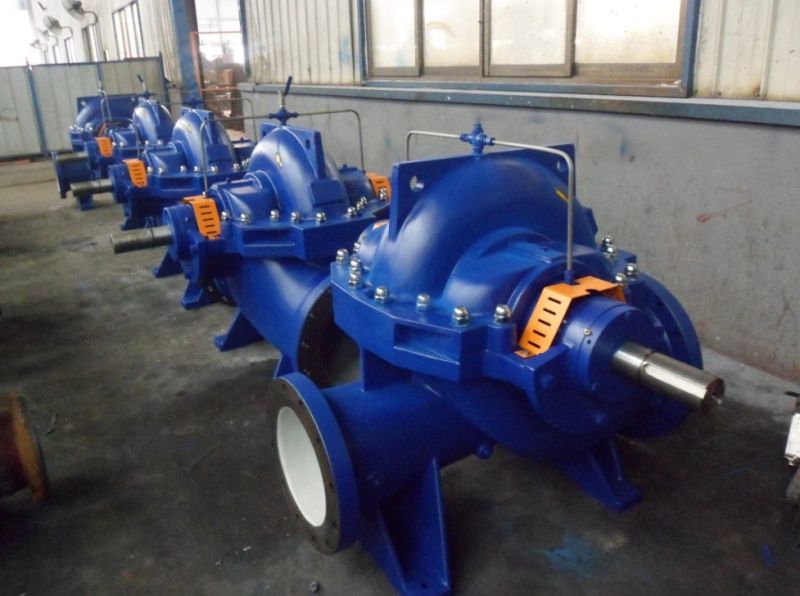 Double Suction Axial Shaft Pump