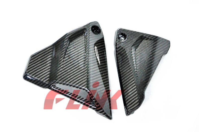 Motorcycle Carbon Parts Side Panel for BMW R1200GS 2013-2015