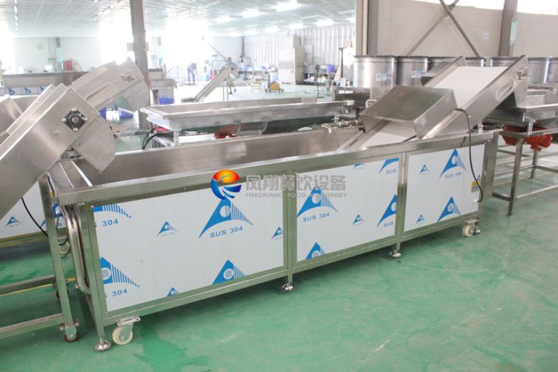 Manufacturer Vegetable and Fruits Washing Machine