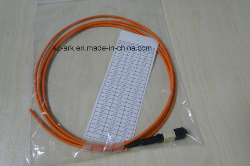 Optical Fiber Cable for MPO/PC/Male) Om1 12 Core