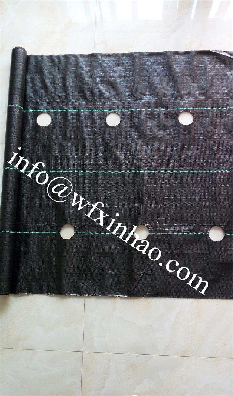 Woven Weed Control Fabric