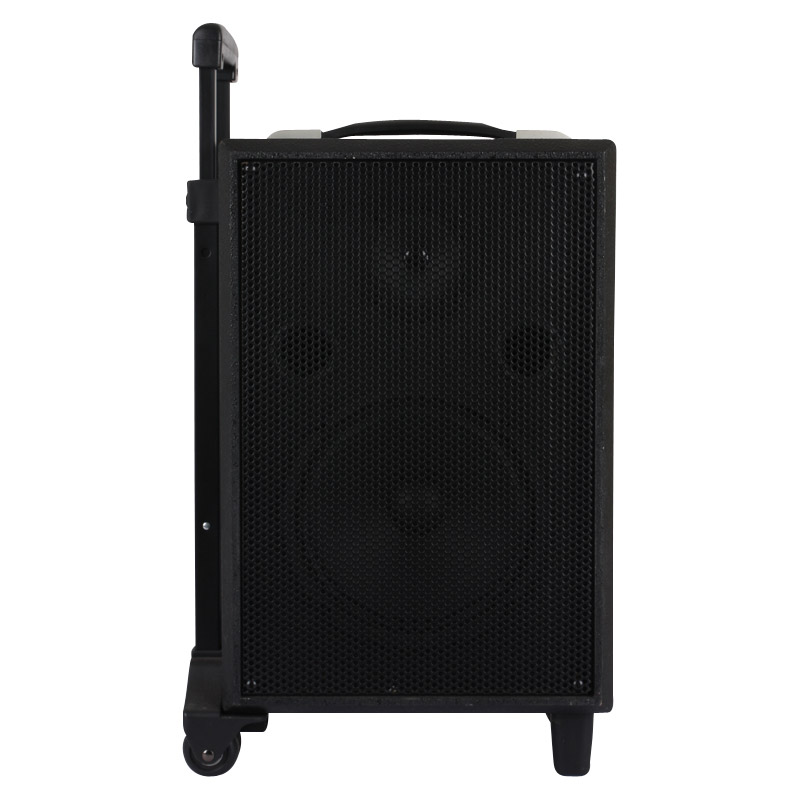Portable PA Speaker with USB, SD and DVD