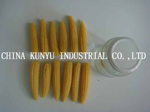 Canned Baby Corn Whole with High Quality