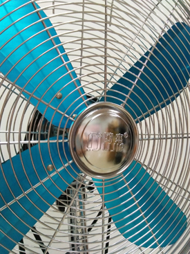 Floor Fan-Stand Fan-Fan