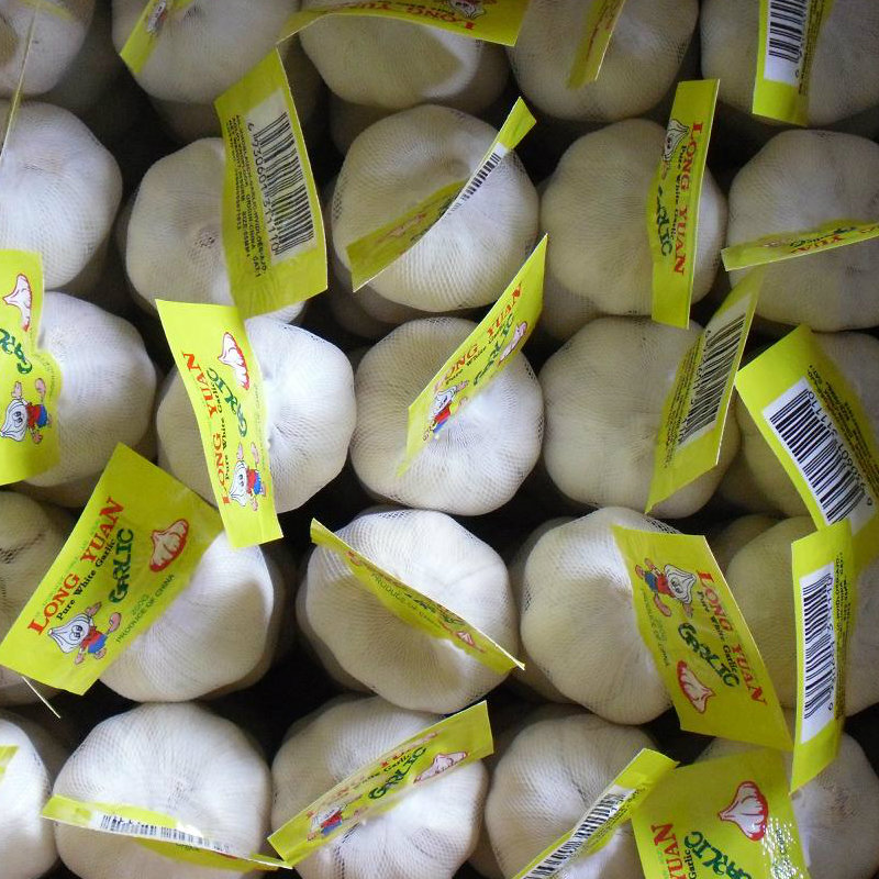 Chinese Fresh Normal White Garlic 5.0cm