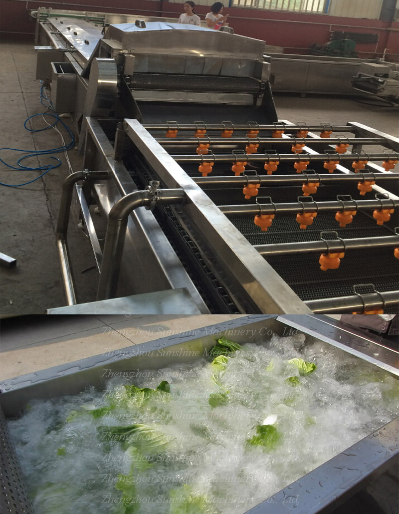 Commercial Vegetable Washer Vegetable and Fruit Washing Machine