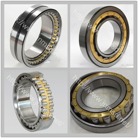 Auto Parts, Stainless Steel, Cylindrical Roller Bearing (NU217M)