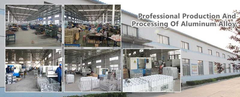 Custom Aluminum Casting Aluminum Alloy Casting Product