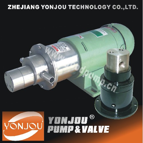 SS Magnetic Drive Pump (CQCB)