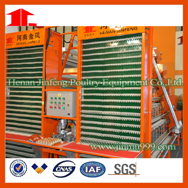 Automatic Poultry Farm Equipment with Prefab House