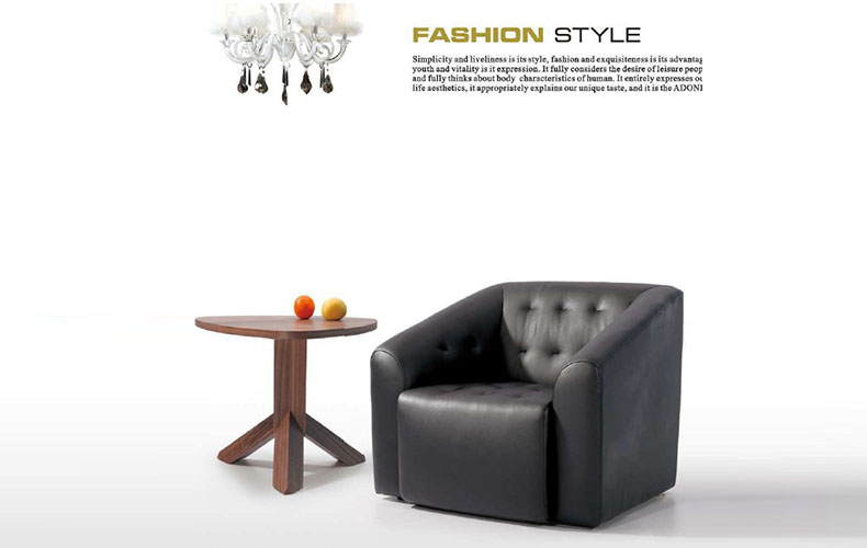 Newest Design Home Furniture Sofa Chairs