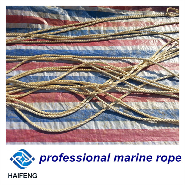 UHMW-P Rope Mooring Fiber Rope, with 3/8/12 Strands