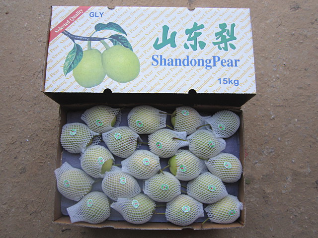 2016 Fresh Shandong Pear for Sale