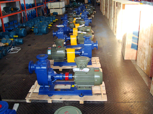 Cyz Marine Gasoline Oil Centrifugal Pump