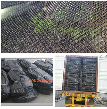 HDPE Geocell Technical Data Best Price HDPE Smooth Geocell Grass Paver